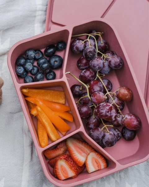 Silicone Bento Box - 4 Compartment