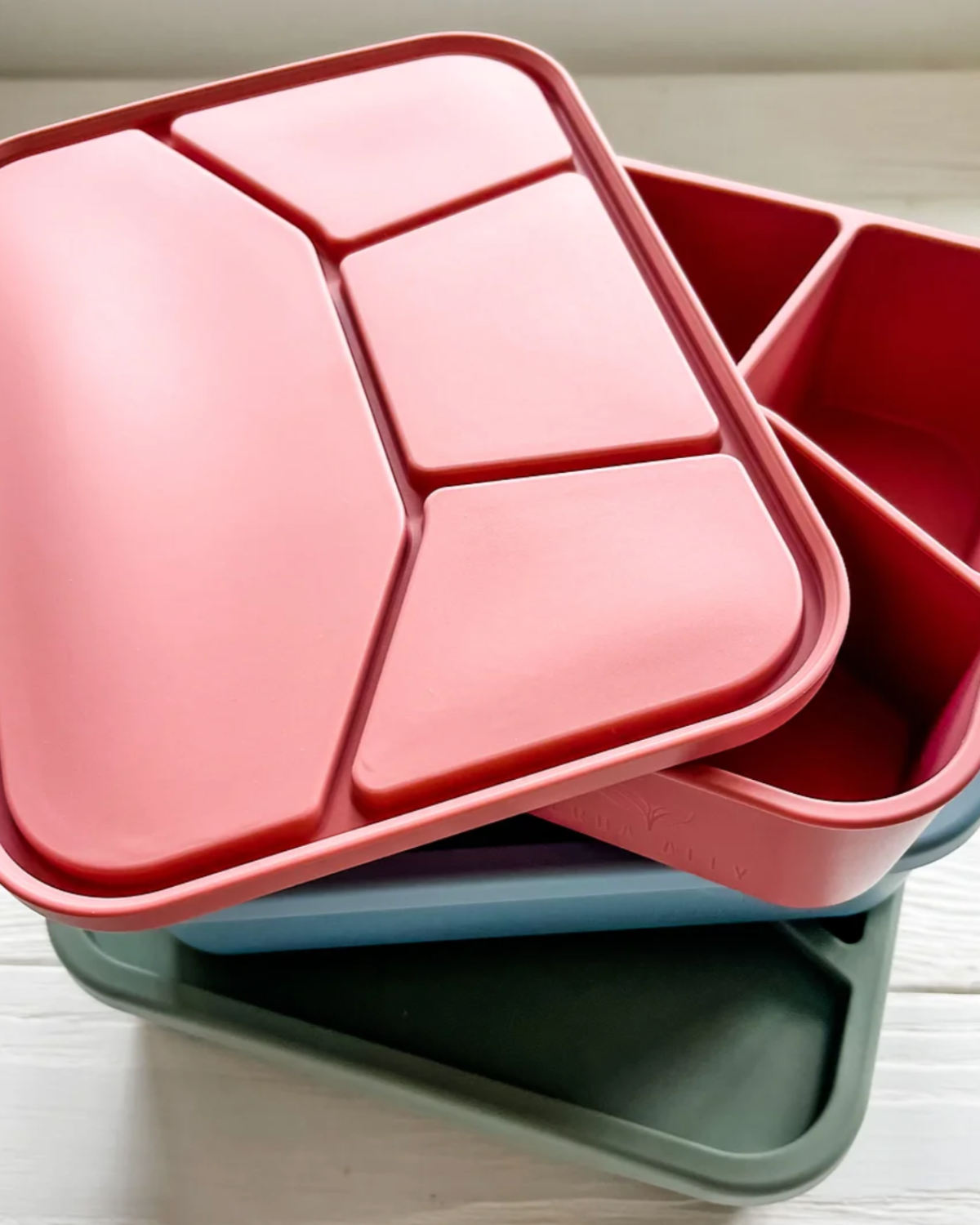 Silicone Bento Box - 4 Compartment