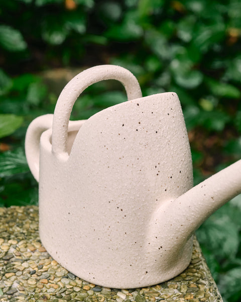 Ceramic Watering Pot