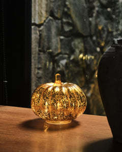 Mercury Pumpkin Light