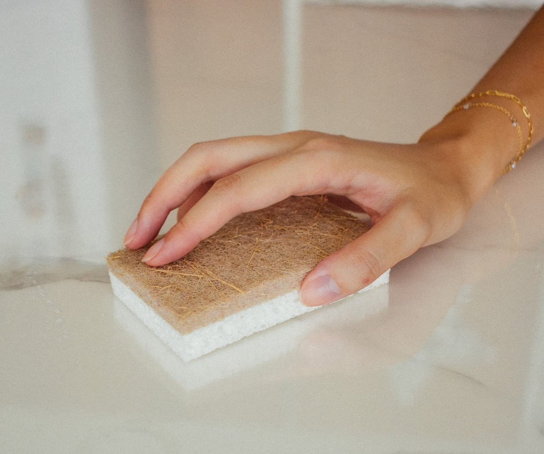 Wood Pulp Sponge