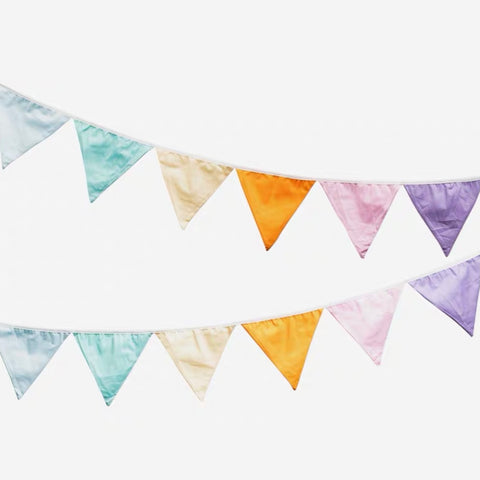 Vera Pennant Banner (Mixed Color)